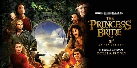 Image result for Princess Bride Anniversary