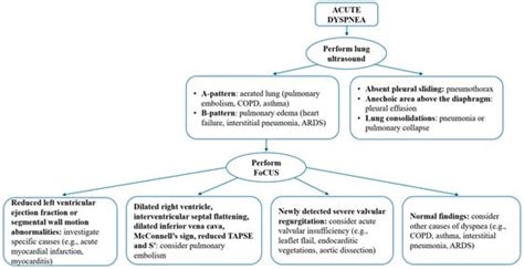 Journal of Cardiovascular Development and Disease | An Open Access ...