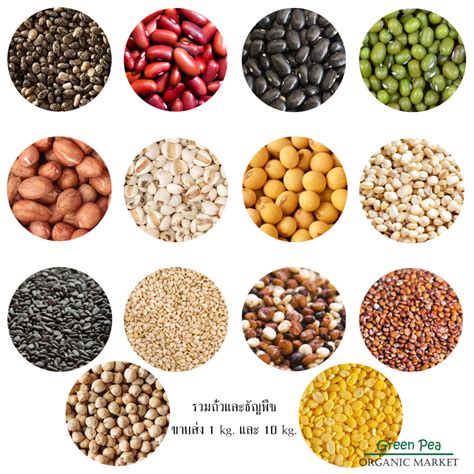 (ขายส่ง 10 kg) รวมเมล็ดถั่ว และ ธัญพืช Greenpea Organic ขนาด 10 Kg ...