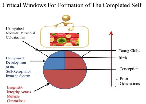 Entropy Disorder 的图像结果