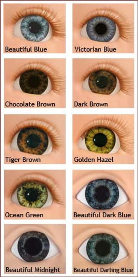 Eye Color Chart Genetics 的图像结果