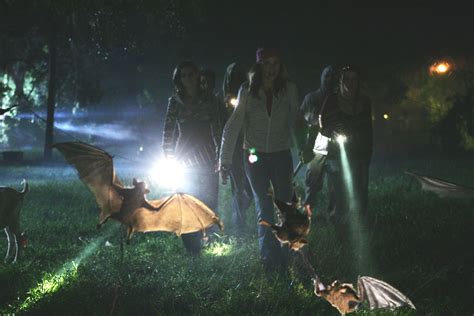 Vampire Bats (2005) - Film Blitz