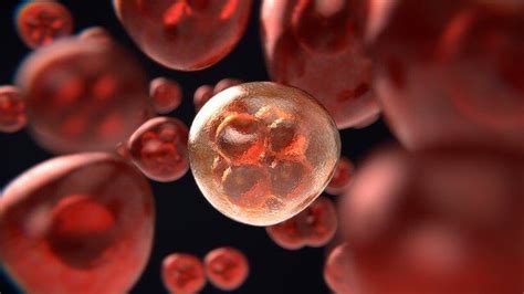 Genetic Disease की भविष्यवाणी करता है यह स्वास्थ्य विश्लेषण | Latest ...