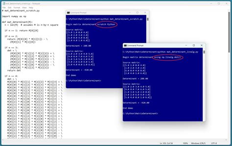 Determinate in Python 的图像结果