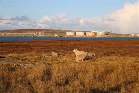 Once a dirty fuel, Shetland nurtures peat's climate superpower | Context