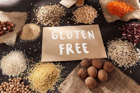 Grain-Free Dog Food Healthy for Dogs?