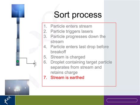 Image result for Cell Sorting Flow Cytometry PPT
