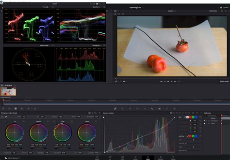 How to Import and Export LUTs in DaVinci Resolve