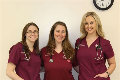 Wilmington, DE 19805 Veterinarians | Windcrest Animal Hospital