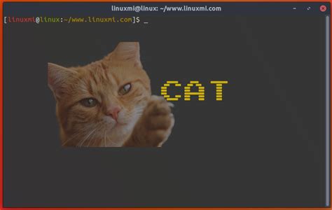 Linux cat命令使用详解 - Linux迷