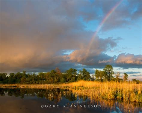 Rainbow over Cattail Marsh | Carlos Avery WIldlife Area | Gary Alan ...