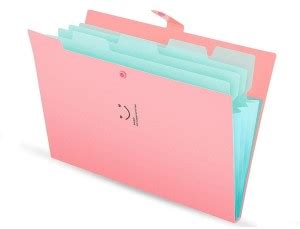 Flipkart.com | TechBlaze Pack 1 Expanding File Folder, 5 Pockets ...