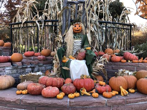 Haunted Wood Cove | Santa Clara, UT - Utah's Adventure Family