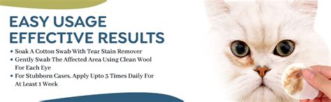 Medfly Healthcare VisioNex Tear Stain Remover for Dogs & Cats, 50 ml ...