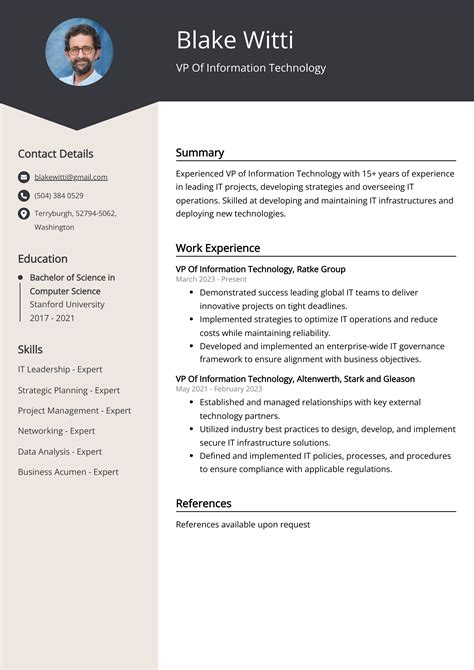 VP Of Information Technology Resume Example (Free Guide)