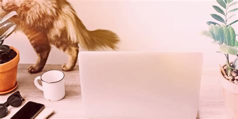 Image result for How to Write Blog Posts Fast