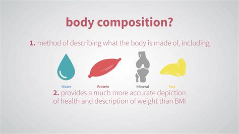Body Composition: What Is It And Why Is It Important? | GardeningLeave