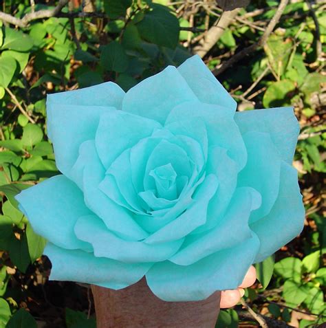 Natural Teal Colored Flowers