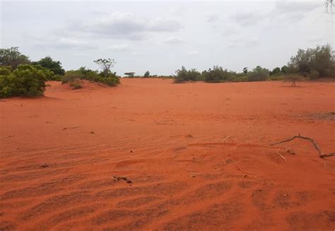 There is a desert in Tamil Nadu and the dunes are red