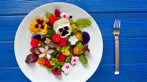 A Guide to Edible Flowers - Beyond Nasturtiums | Penn Jersey Paper