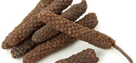 Discover The Magnificence Of Pipali (Indian Long Pepper)!