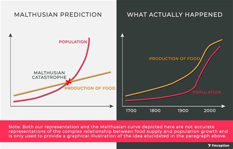 Balkrishna Industries - Big bets and big promises