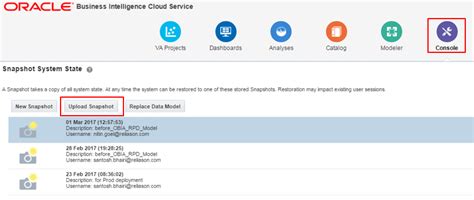 Oracle BICS 的图像结果