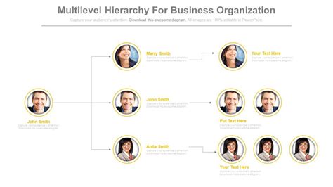 Business Organization Hierarchy Chart