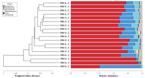 Influence of Intraspecific Competition Stress on Soil Fungal Diversity ...