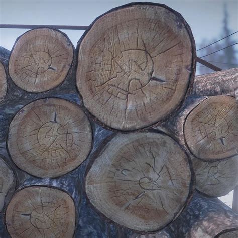 Image result for Snow Runner Logs