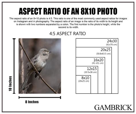 How Big Is An 8x10 Photo? - Mama Knows Best