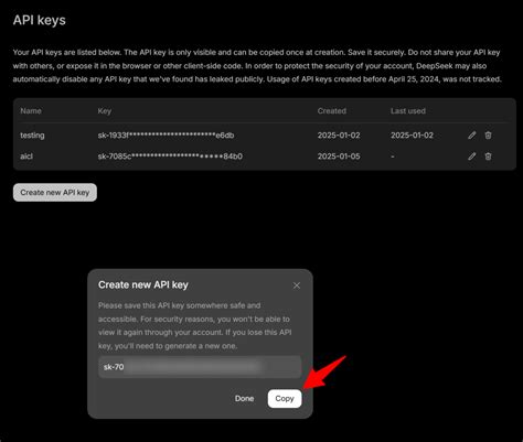 Deepseek API Key in the Code 的图像结果