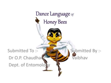 Image result for Bee Dance Language