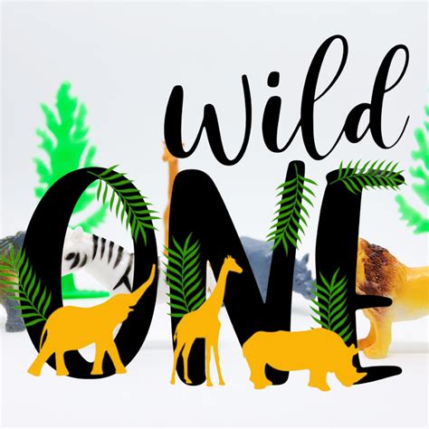 Theme Birthday T-Shirts – T Bhai