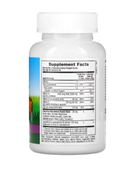 NaturesPlus, Animal Parade, Kids Immune Booster, Tropical Berry, 90 ...