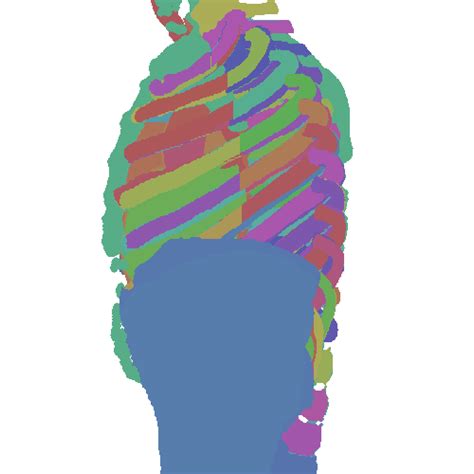 PAXRAY - Dataset Ninja