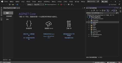 Blazer Tutorial .Net 的图像结果