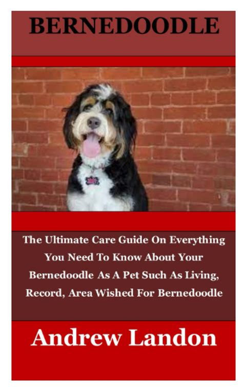 Buy Bernedoodle: The Ultimate Care Guide On Everything You Need To Know ...