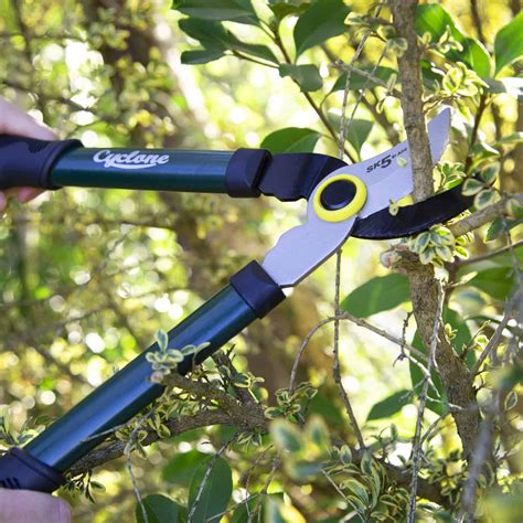 How to Use Loppers 的图像结果