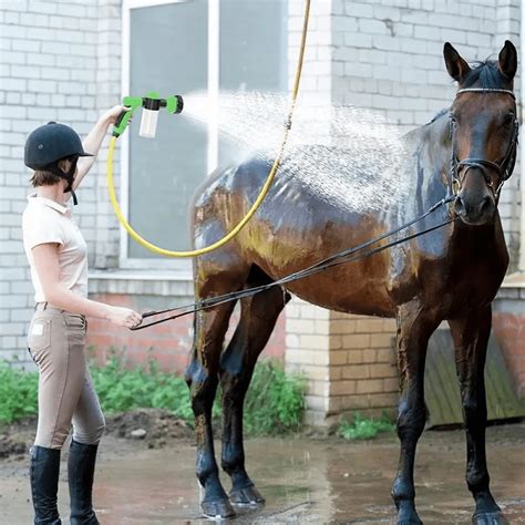 Pet Horse Shower Sprayer Adjustable High-Pressure Sprayer Nozzle Hose ...