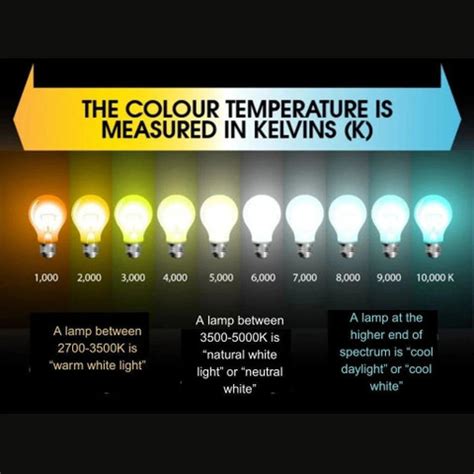 PHILIPS 10 W Basic T-Bulb B22 LED Bulb Price in India - Buy PHILIPS 10 ...