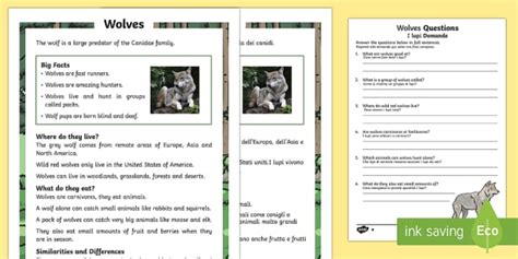 Wolves Reading Comprehension Italian Translation