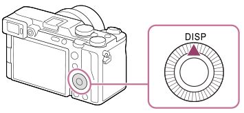 ILCE-7CR | Guía de ayuda | Botón DISP (ajustes de visualización)