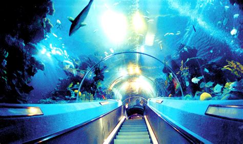 广州海洋馆（广州动物园）门票预订 - 旅游出行