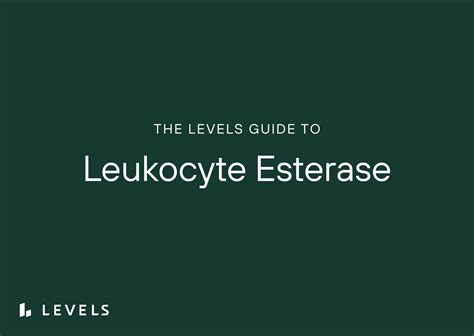 Guide to Leukocyte Esterase | Levels | Levels