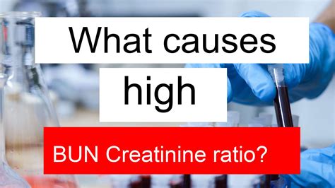 What causes high BUN Creatinine ratio and low Creatinine?