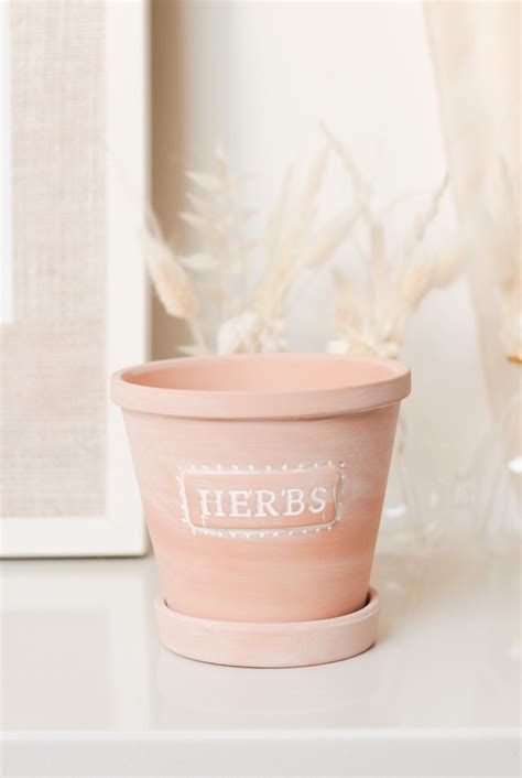 HERBS - TERRACOTTA PLANTER WITH SAUCER - Beauty & Bobs