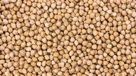 How to Preserve Chickpeas | கொண்டைக்கடலை சேமிப்பு | how to preserve ...