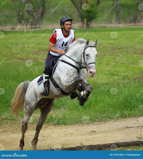 Equestrian Cross-country Rider Editorial Stock Photo - Image of equine ...