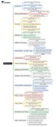 Mind Pictures Mind Map - Year 4 English IGCSE (Cambridge) PDF Download